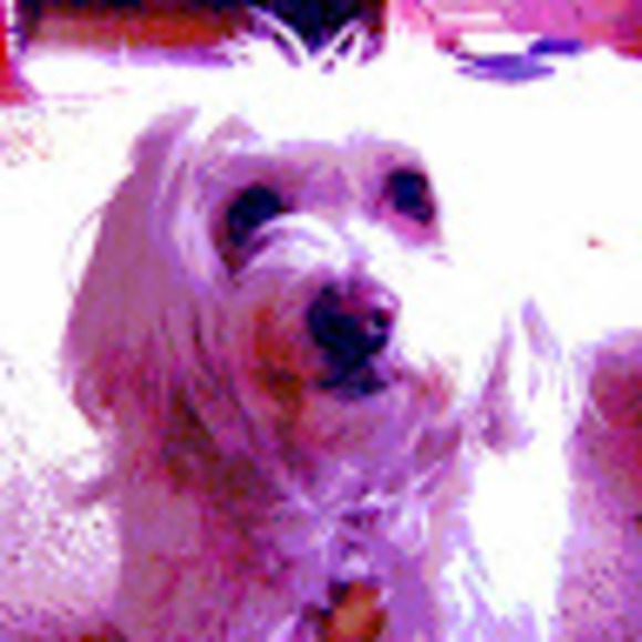 Meet your Posher, Juliana - Picture 1 of 1